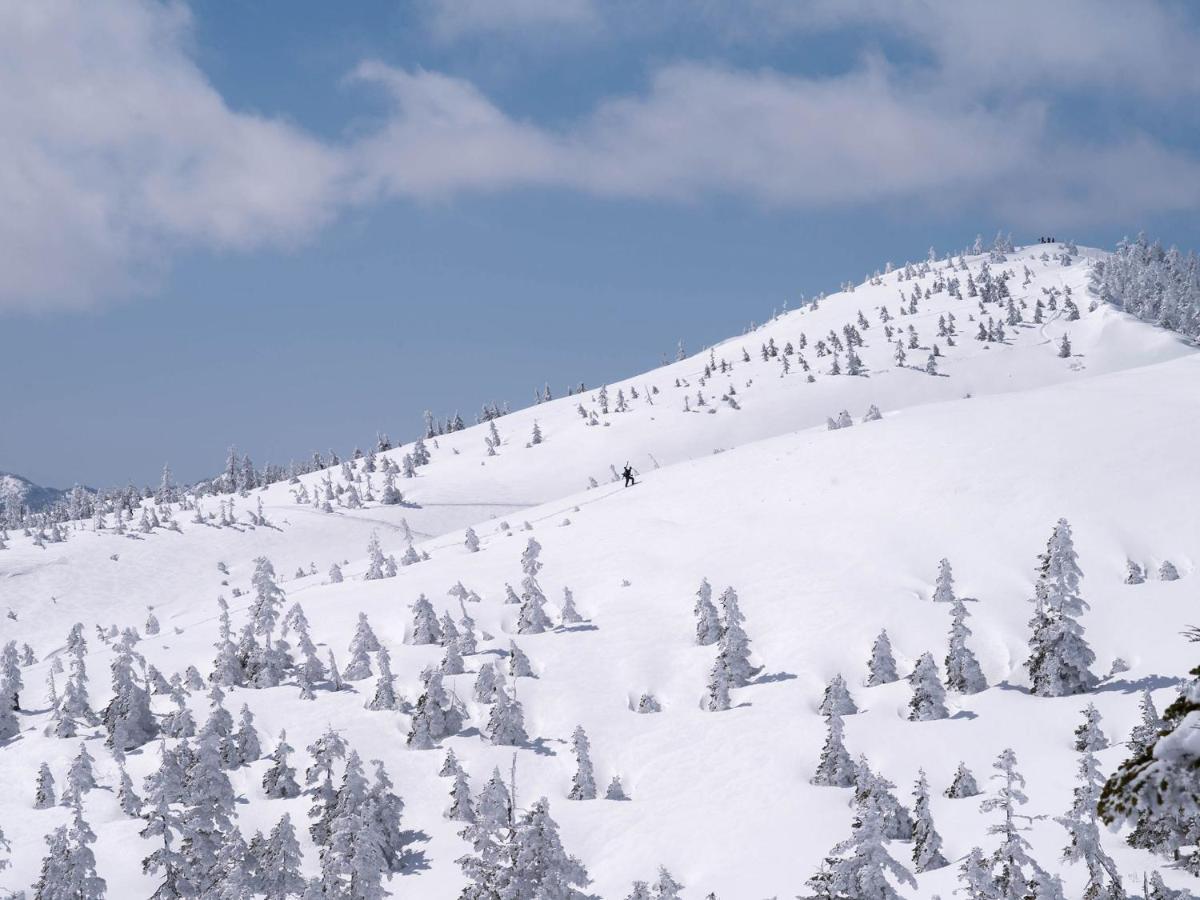 ライオンズマンション越後湯沢 902 Yuzawa (Niigata) Buitenkant foto